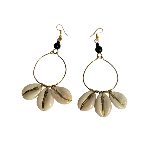 3 Cowrie Shell Hoop Earrings