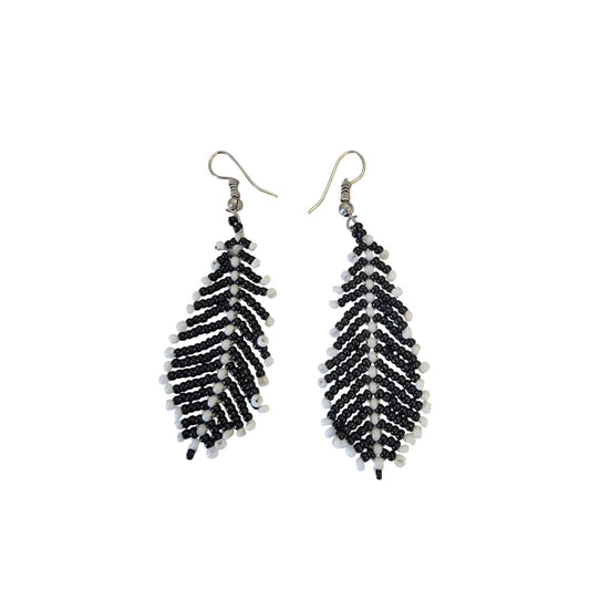 Black & White Pine Tree