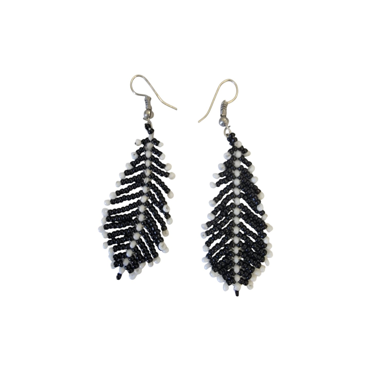 Black & White Pine Tree