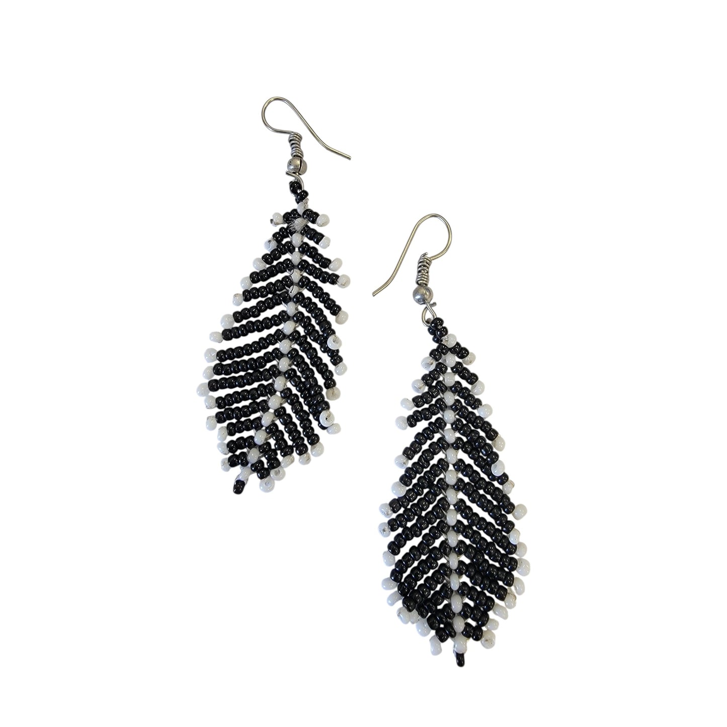 Black & White Pine Tree