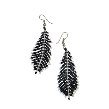 Black & White Pine Tree